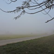 Neblina inunda en Nueva Gerona013
